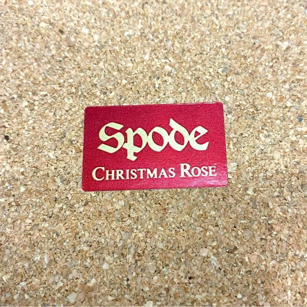 Spode Christmas Rose Large Acrylic Finish Corkboard Back Placemats Box Set of 4
